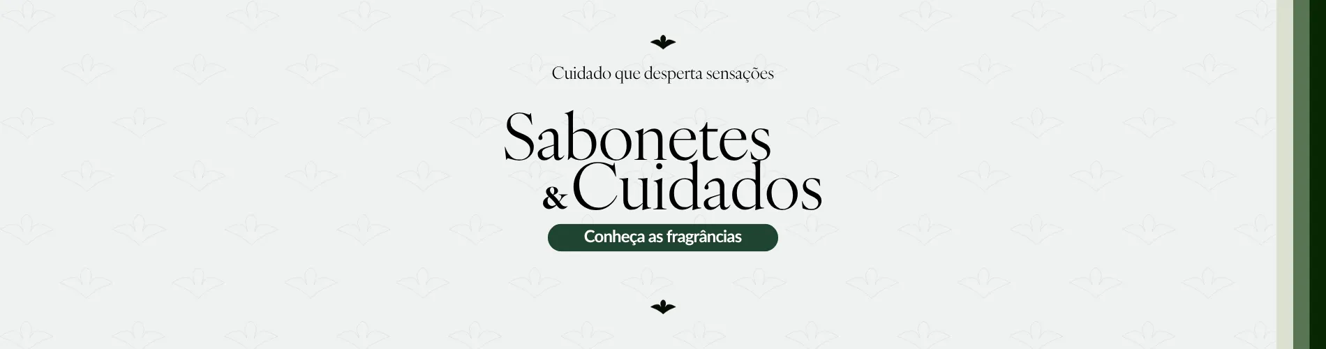 Banner Categoria Sabonetes E Cuidados Ekomist